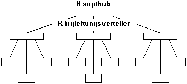 Stern-Ring-Topologie